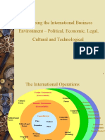 International Business Environment1