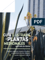 Guía ilustrada de plantas medicinales del Valle de México