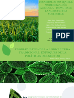 GRUPO I - AGRICULTURA SOSTENIBLE Y MODERNIZACION - EC. AMBIENTAL.pptx