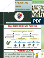 Reino Plantae Fanerogamas - Gymnospermas PDF