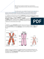 Informacion de Biologia