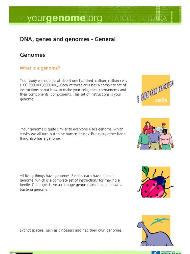 Genetic Codes Explained _ The genetic code & codon table (article) – DKRISP