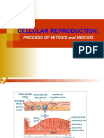Mitosis and Meiosis ppt#5