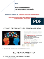 Clase 12 Bases Biologicas Del Pensamiento