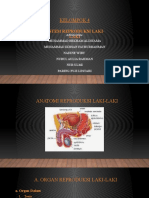 Kelompok 4 Bio Sistem Reproduksi Laki-Laki