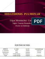 23 HIDATIDOSIS PULMONAR Montanchez