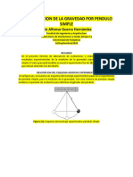 Informe Guia PDF