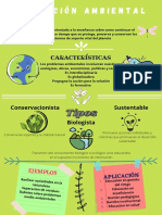 Infografía Sobre La Educación Ambiental
