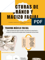 Tarea-Fracturas de Cráneo y Macizo Facial