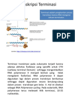 Transkripsi Terminasi