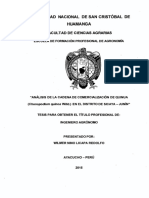 Tesis Ag1131 - Lic PDF