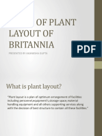 Types of Plant Layout of Britannia