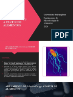 AISLAMIENTO DE SALMONELLA pptx