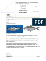 Características y adaptaciones del necton marino peruano