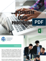 Brochure Excel Profesional PDF
