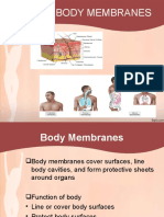 Skin and Body Membranes