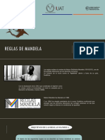 Reglas de Mandela PDF