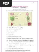 fixa de avaliação 3