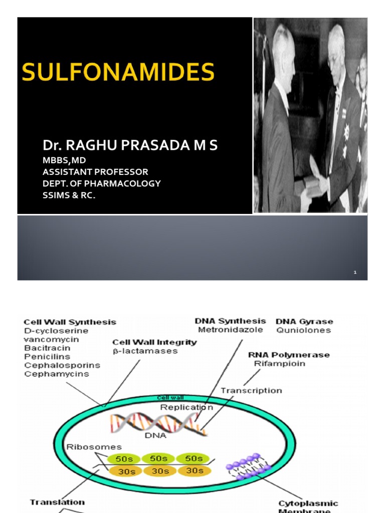 Sulfonamides and Trimethoprim Mechanisms of Action, Uses, Resistance and Adverse Effects PDF