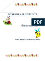 Proiect de Activitate Intalnirea de Dimineata