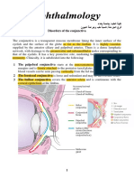 6 - 7 Conjunctiva