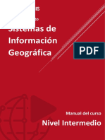 ARCGIS Nivel Intermedio - Manual.pdf