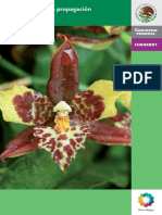 Manual para La Propagacion de Orquideas PDF