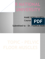Pelvic Floor Muscle