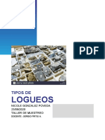 Tipos de Logueos