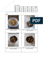 Data Hasil Percobaan Media Tanam Tanah Liat