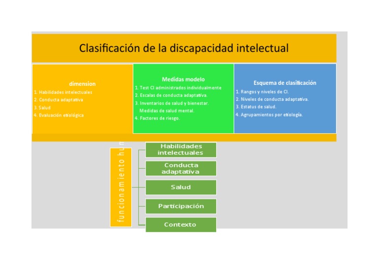 Clasificación de Discapacidad Intelectual | PDF