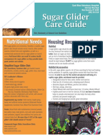 Sugar Glider Care Guide PDF