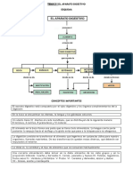 Fichas Digestivo PDF