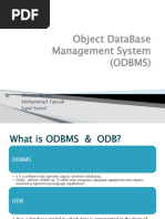 Assignment Object DataBase