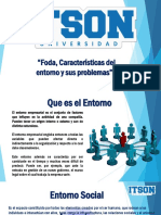 ENTORNOS 3.1.pdf
