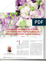 revista Metroflor