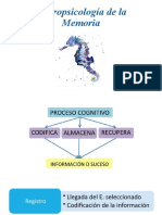 Neuropsicología de La Memoria 2020-1