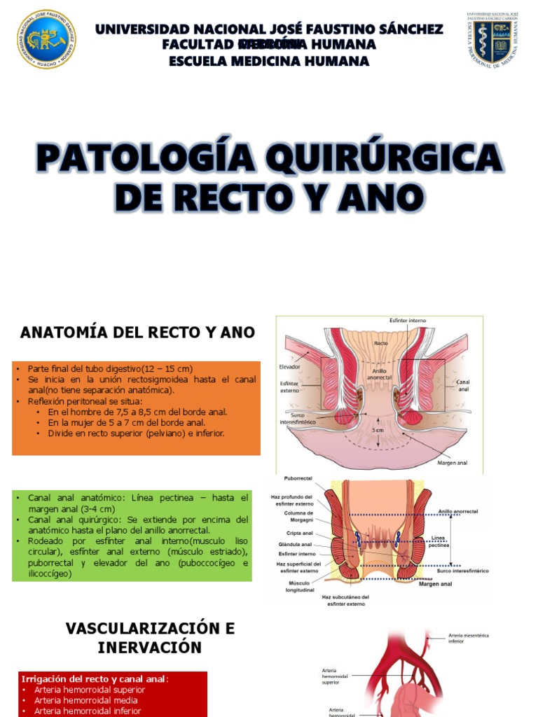 Patología de Recto y Ano PDF | PDF | Hemorroides | Cáncer colonrectal
