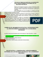 Ejemplo de Lineamientos de Política y Estrategias