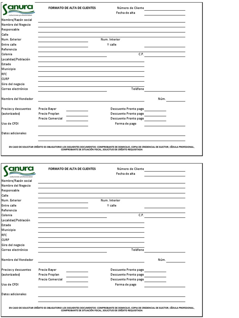 Formato Alta de Clientes PDF Business Science
