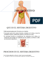 tutoria 4 anatomia y fisiologia