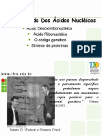 acidosnucleicosNOVO2.ppt