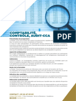 Brochure Comptabilité, Contrôle, Audit-CCA