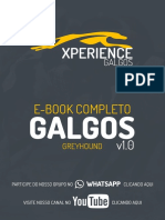 Ebook Galgos Xperience v1 PDF