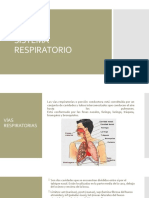 Sistema Respiratorio