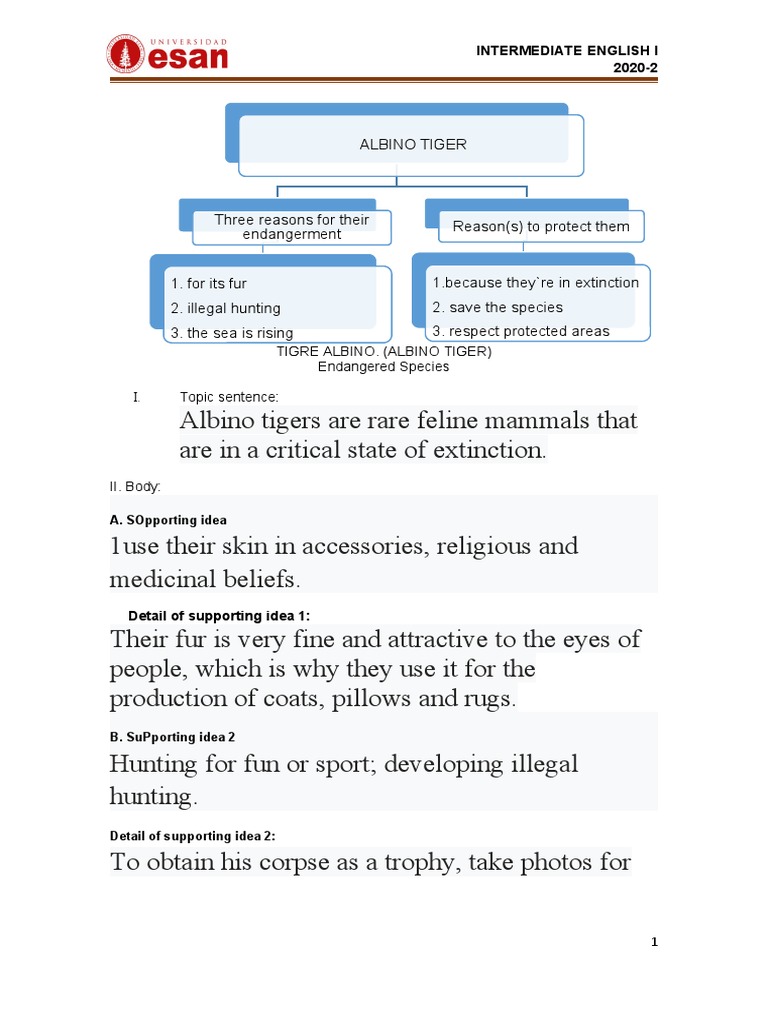Af Ie I 1 Writing 1 Guided Practice 2020-I | PDF | Hunting | Tiger