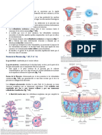 Desarrollo de La Placenta