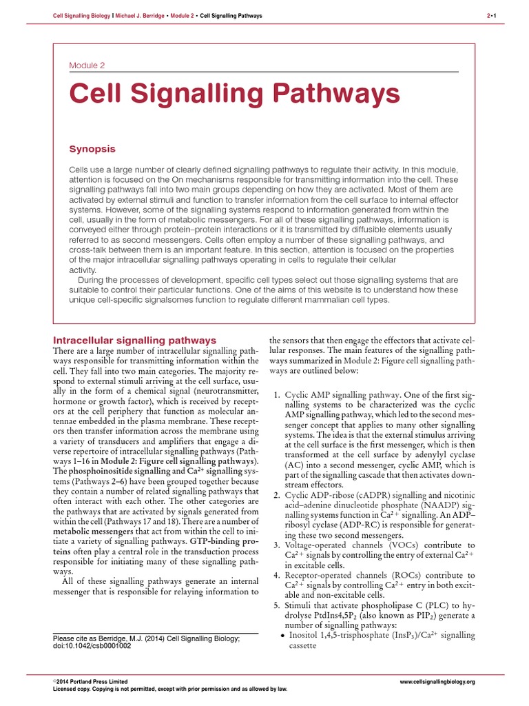 Cell Signalling Pathways: Synopsis | PDF | Signal Transduction | Cell ...