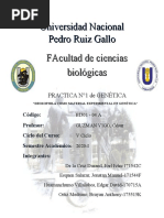 DROSOPHILA PRACTICA (Practica 1)