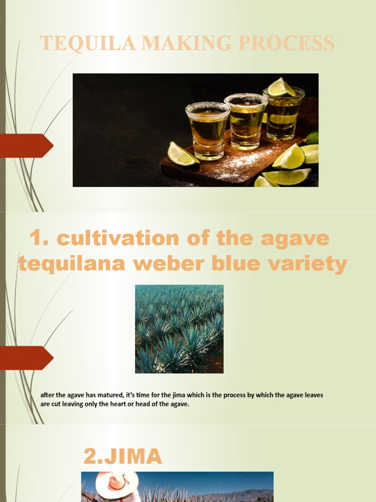 Proceso Del Tequila | PDF